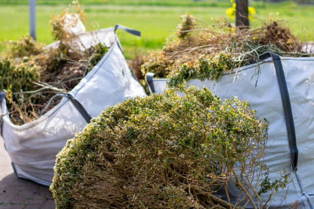 Best Shed Removal  in Hopewell, TN